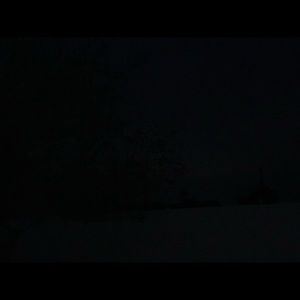 Meet your Posher, Leonardo